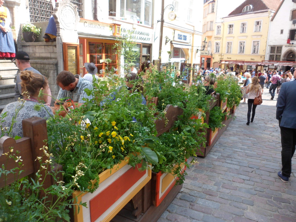 Cafes aplenty in Old Town