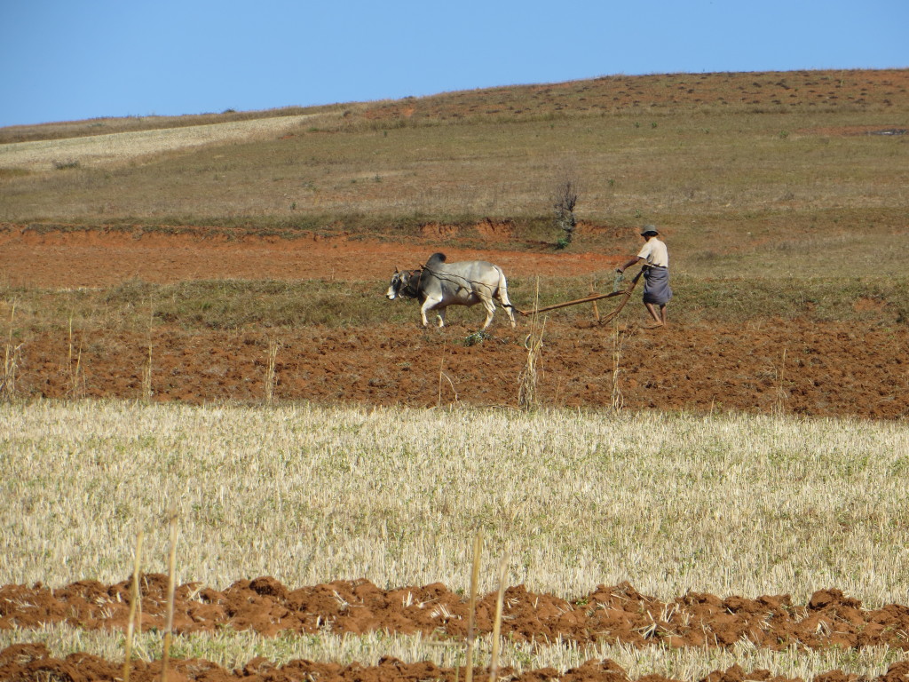 We ride past acres and acres of farmland that look as though not much has changed in the last few hundred years.