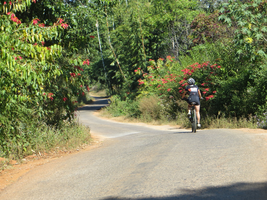 It's not all gravel. This is Marlene heading downhill on pavement surrounded by wild poinsettias. Appropriately, this was on Christmas Day.