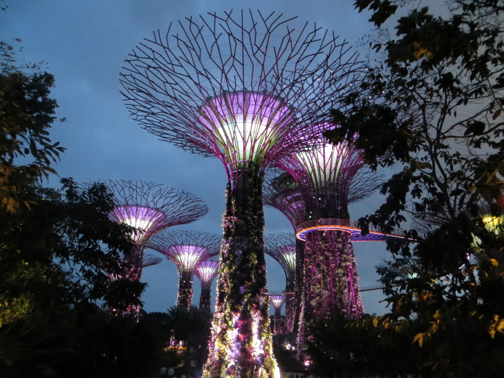 Another highlight of the Gardens By the Bay was the Supertrees Grove, structures as much as 150 feet high, that serve as vertical gardens. At night they do two 15-minute light-and-music shows that were fun.