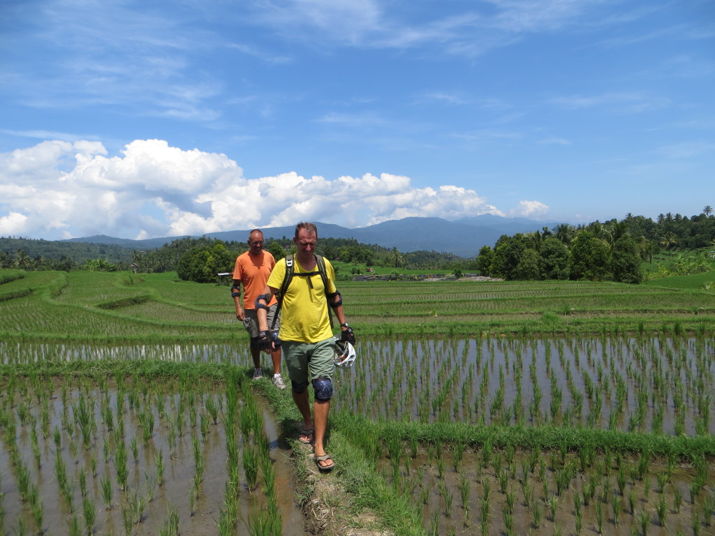 On a break from riding we could walk through the fields