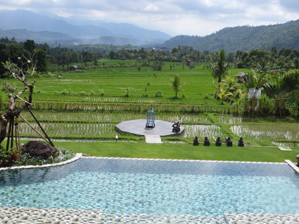 Our pool and the valley below