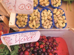 Those look like white mulberries. Perhaps my agriculture editor in LaSalle will have insights on this.