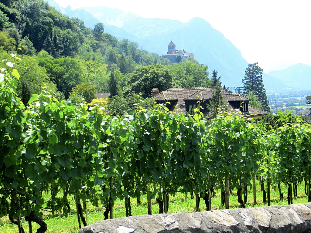 The prince of Liechtenstein's castle looks over the capital of Vaduz and surrounding homes and vineyards