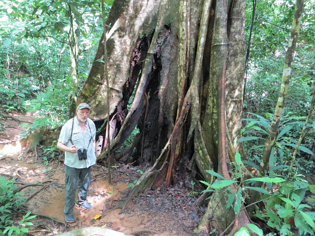 Our incredible guide Philip