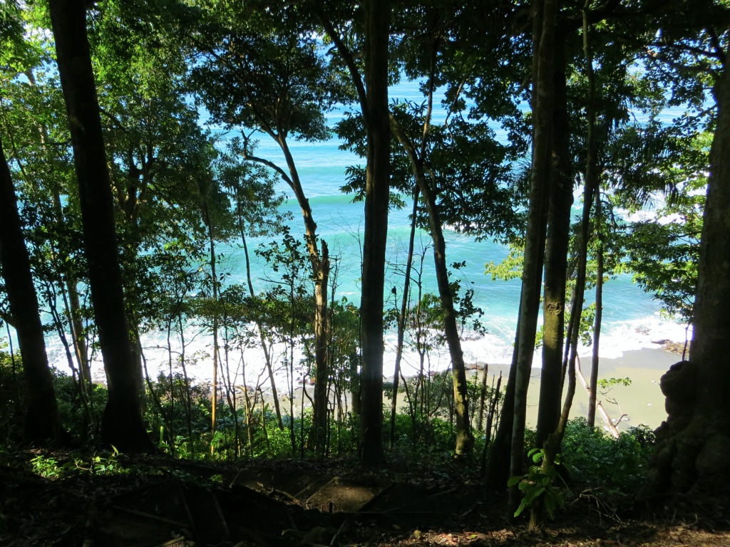The view as we climbed down to the Pacific beaches