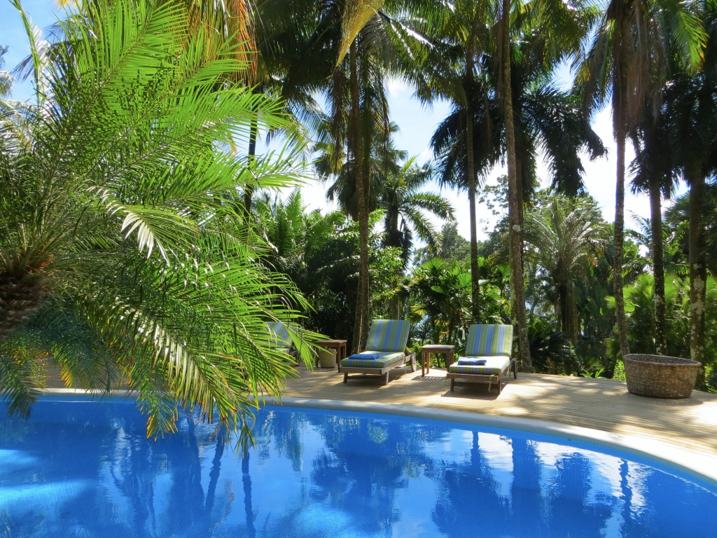 The lodge pool, a relaxing oasis, surrounded by the drama of the forest