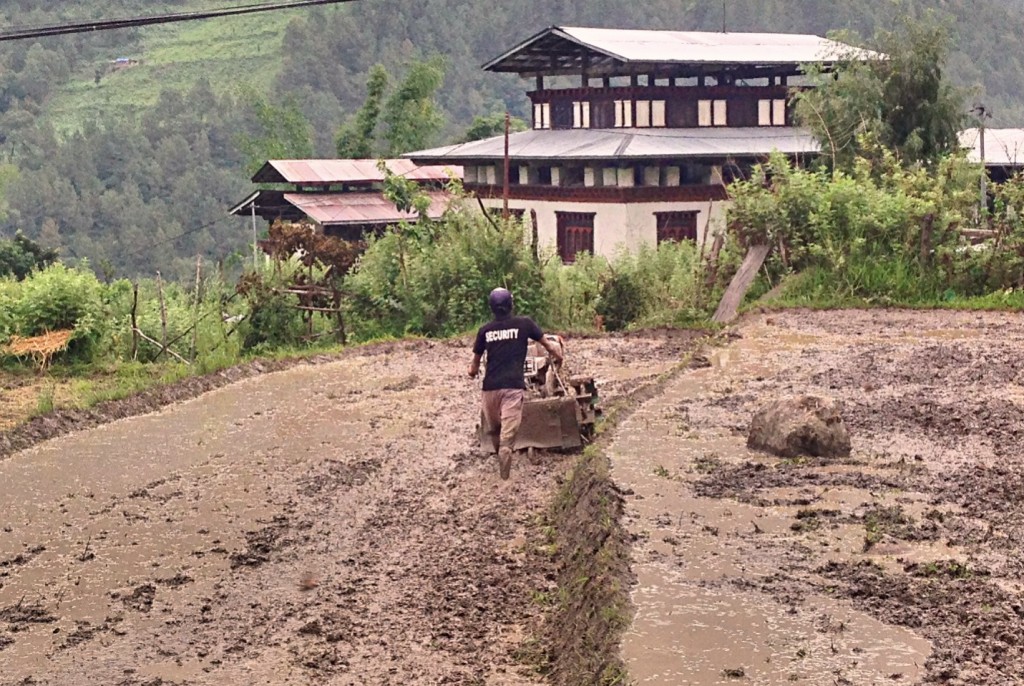 I saw this guy knee-deep in mud working his rice field and thought "If I ever had a job again (which I won't) I'd never complain about how hard it was. Mark saw it and said "I bet that guy is thinking 'This tiller sure beats the hell out of those oxen I used to walk behind. Man, ain't life great!'"