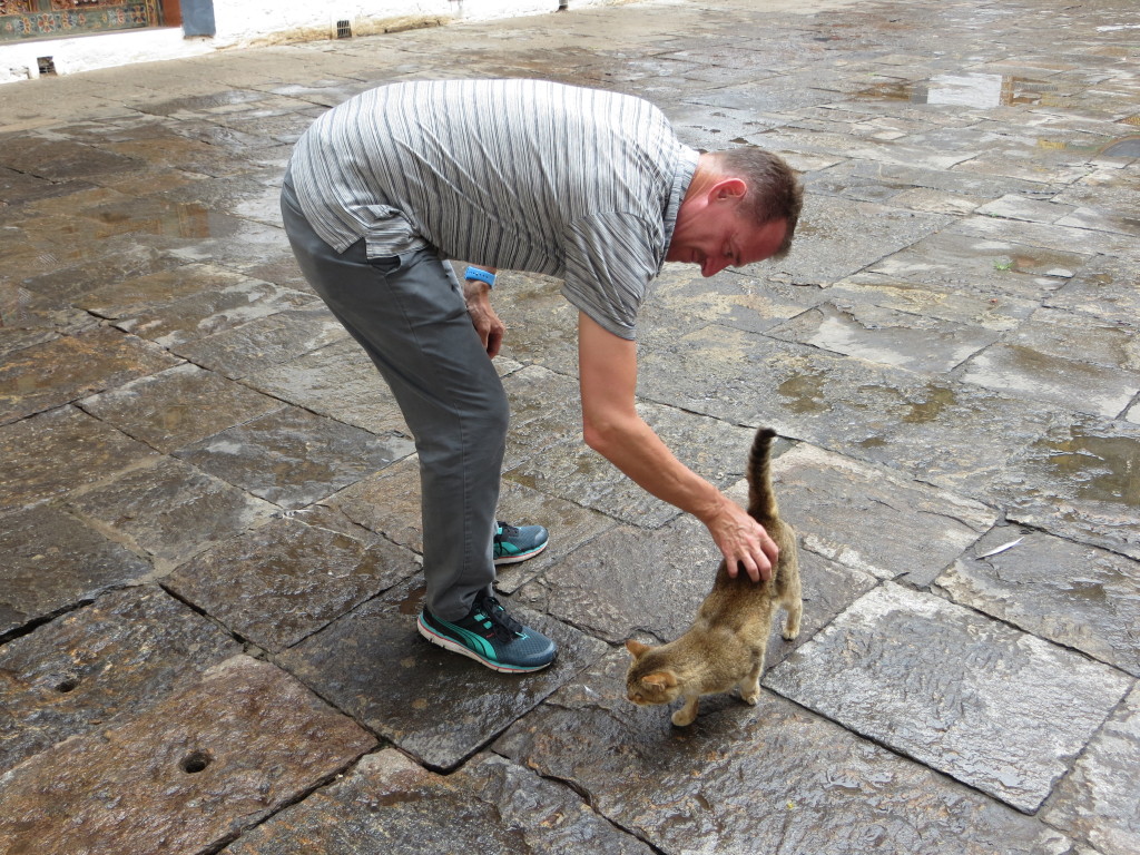 We haven't had a lot of cat pictures lately, but we encountered this cutie in the Punakha Dzong. Not two minutes after Mark quit petting her a robed monk was kicking her trying to get her to go away. Kicking a cat!