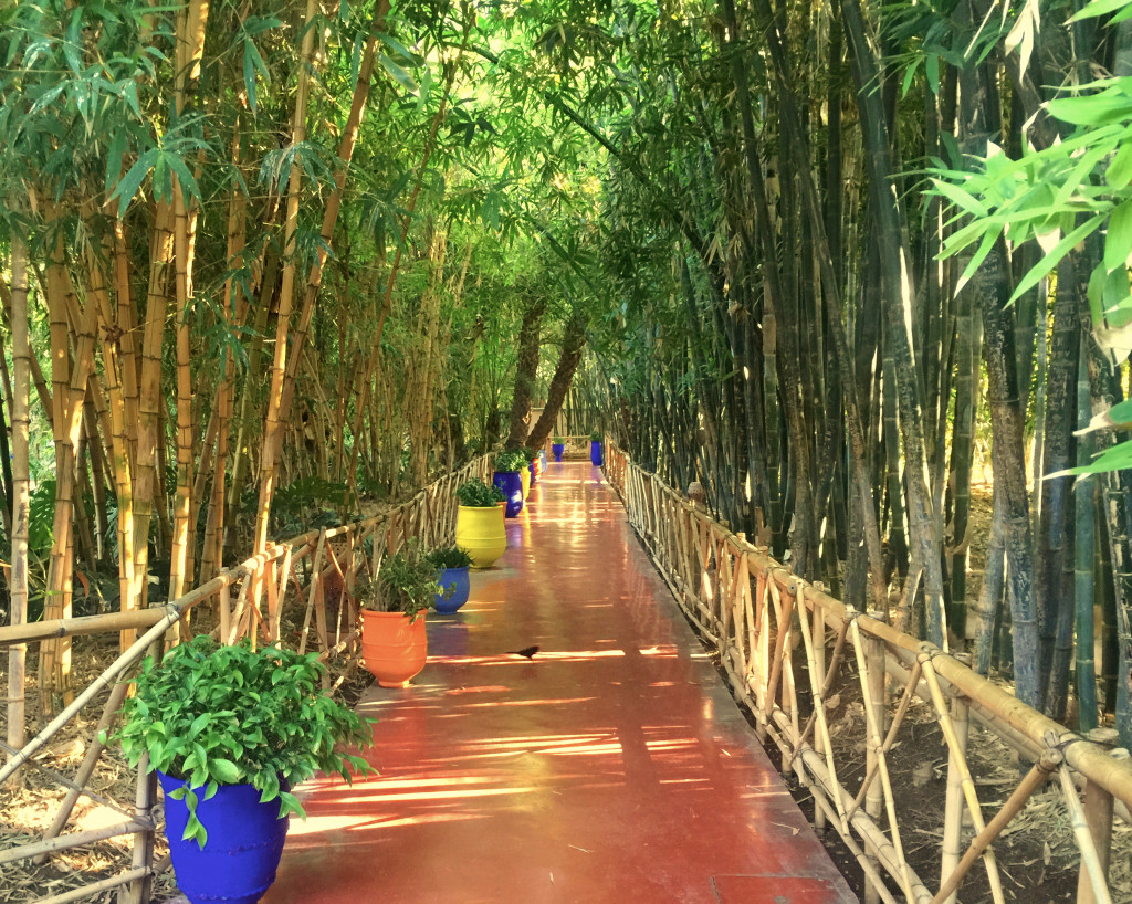 The three of them toured the Jardin Majorelle, Yves Saint Laurent's former villa, while I was coughing and sneezing in my room