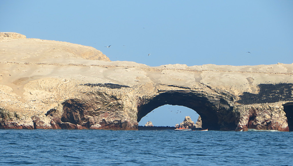 The biggest of the Ballestas Islands. Those dark spots on either side of the tunnel are massive colonies of birds all jammed together.