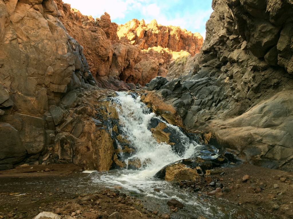 It was a beautiful canyon and a great hike, though it was a little surreal to be around so much water in the driest desert on earth