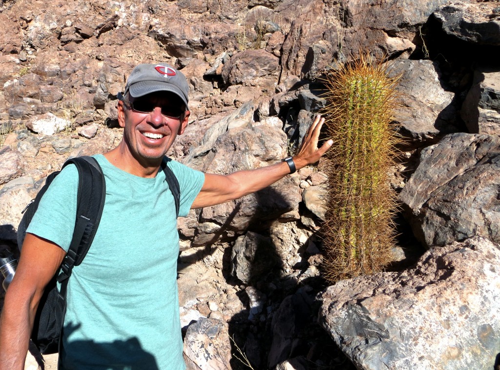 I wasn't really leaning on that cactus, though you had to be careful not to slip while hiking lest you roll into something like that