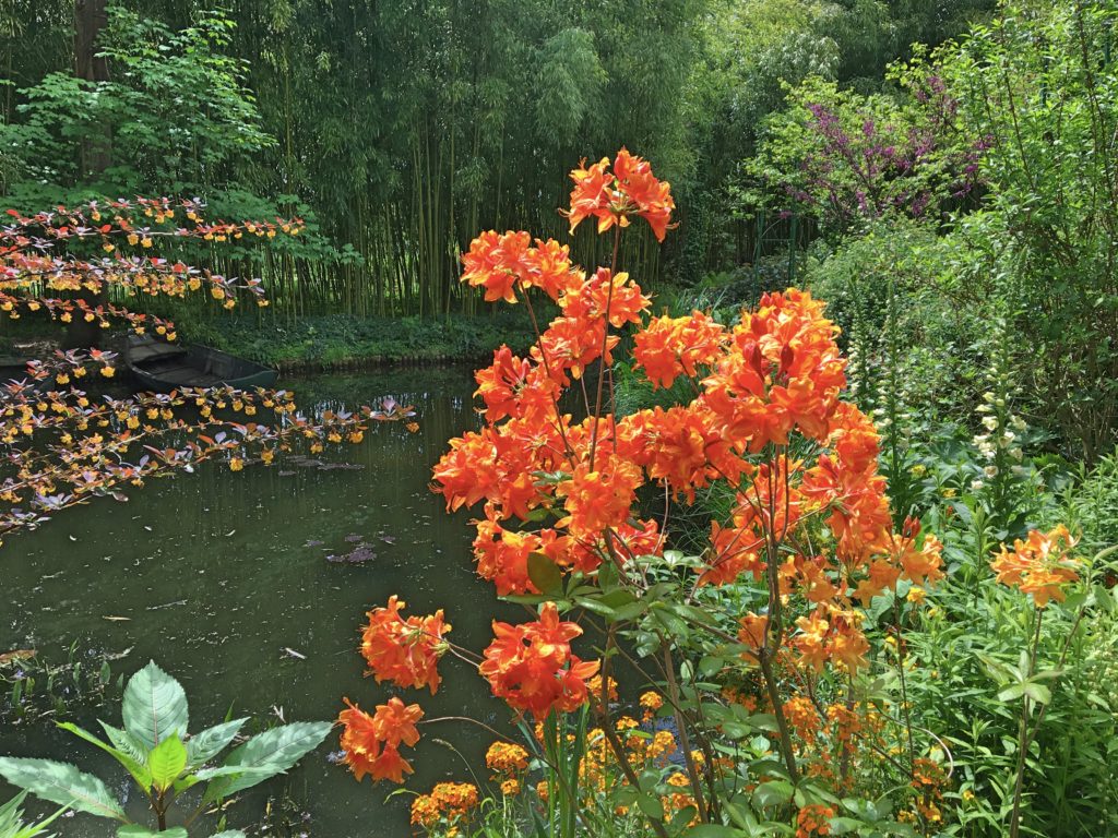 One more colorful shot. You had the sense that surrounded by that much beauty anyone would be a great artist.