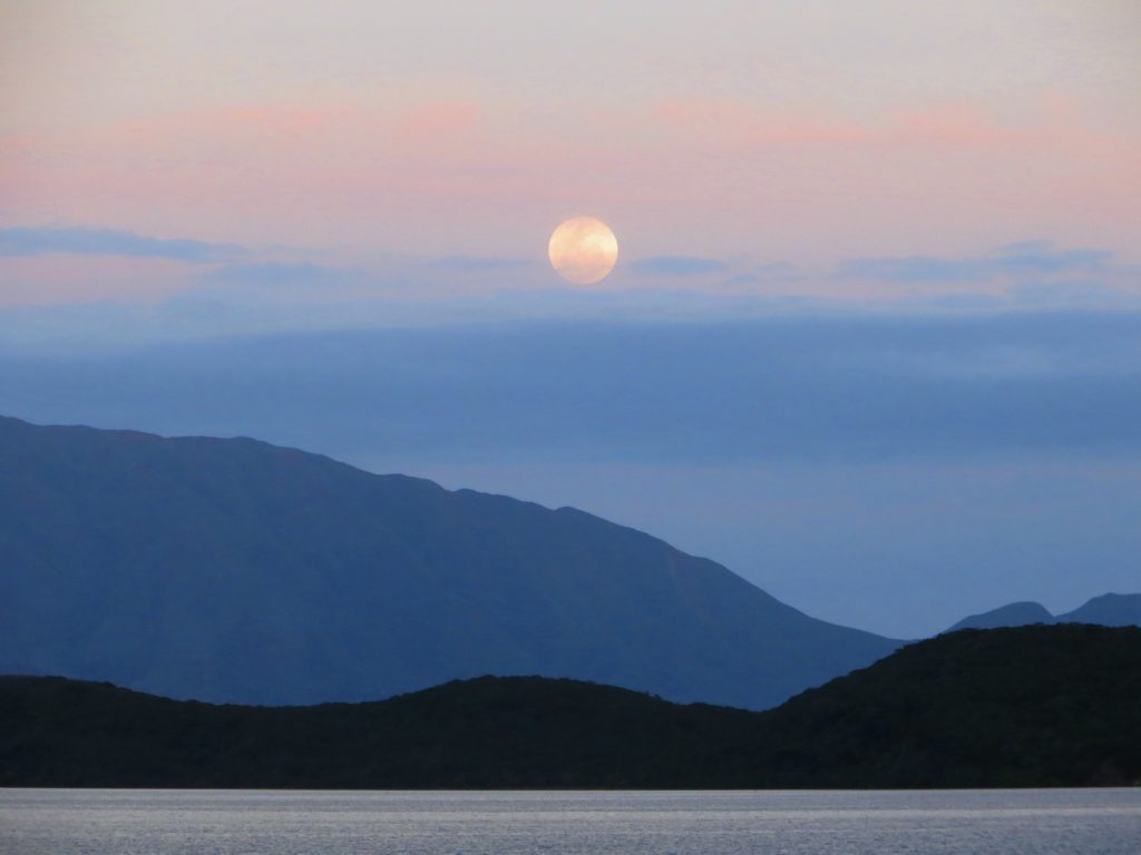 And finally, we were in Noumea for the November "Supermoon", which occurs on those unusual occasions when a full moon coincides with the closest point the moon comes to the earth during the lunar orbit. This particular Supermoon was the biggest and closest moonrise since 1945 so we went out of our way to get a view.