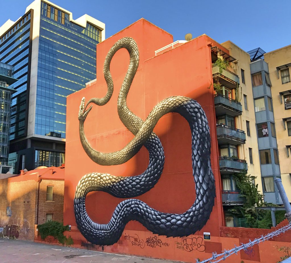 We've seen more interesting street art in Australia than just about anywhere. This snake was just one example.