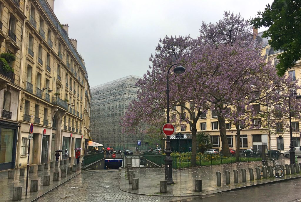 Glistening streets, grand architecture, flower Jacaranda trees - it's enough to make you pray for rain!